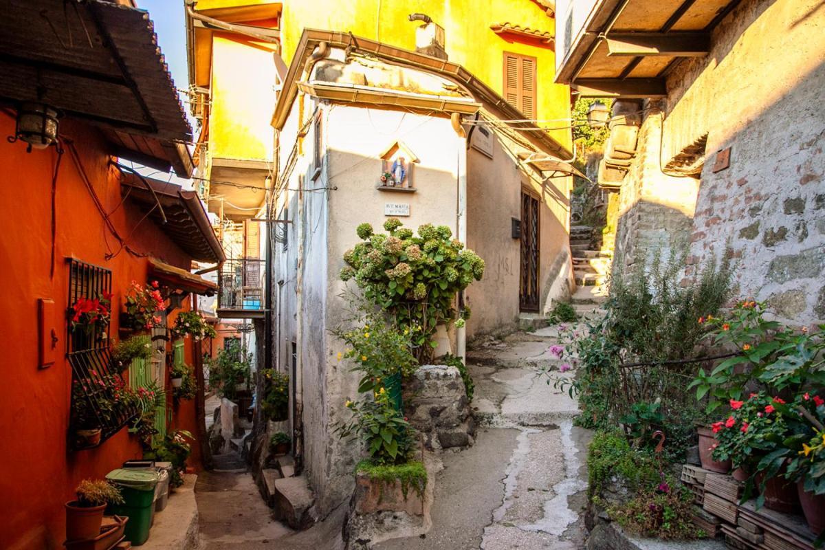 Casa Lella Apartment Rocca Di Papa Exterior photo